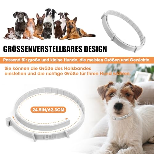 Beruhigungshalsband für Hunde 6 Packungen Hund Pheromon Calm Halsbänder Relief Angst Stress Trennung Lasts 120 Tage Relieve schlechtes Verhalten 25 Zoll Größe einstellbar für alle Hund (Grau)