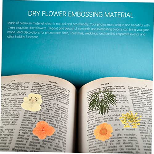 ARTIBETTER 40pcs Flores secas prensadas para manualidades miniatura 5