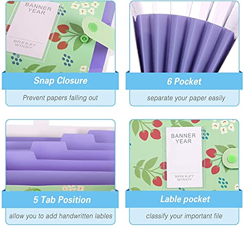 Image of Corslet File Folder for Documents A4 Size Paper Office Students Certificate Holder Storage Organizer 5 Pockets (Pack of 2)