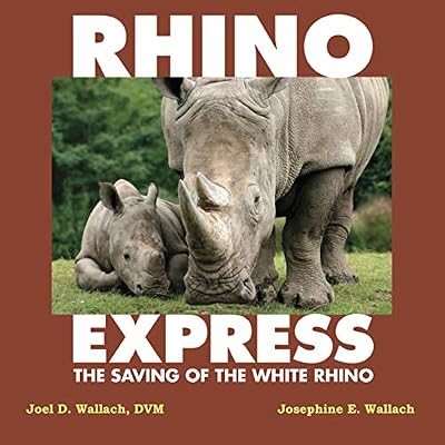 Rhino Express