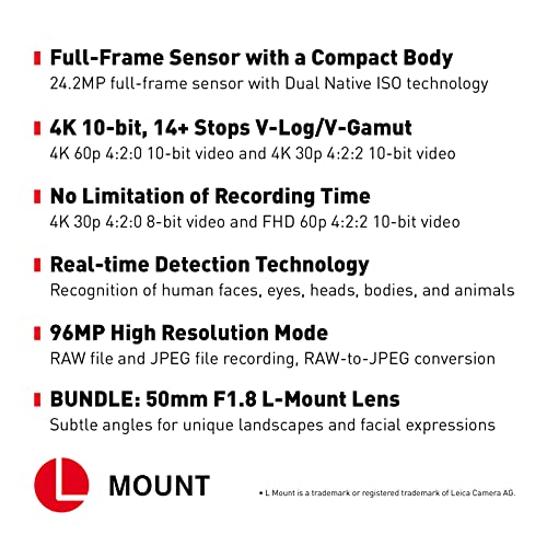 Panasonic Lumix S1H camera