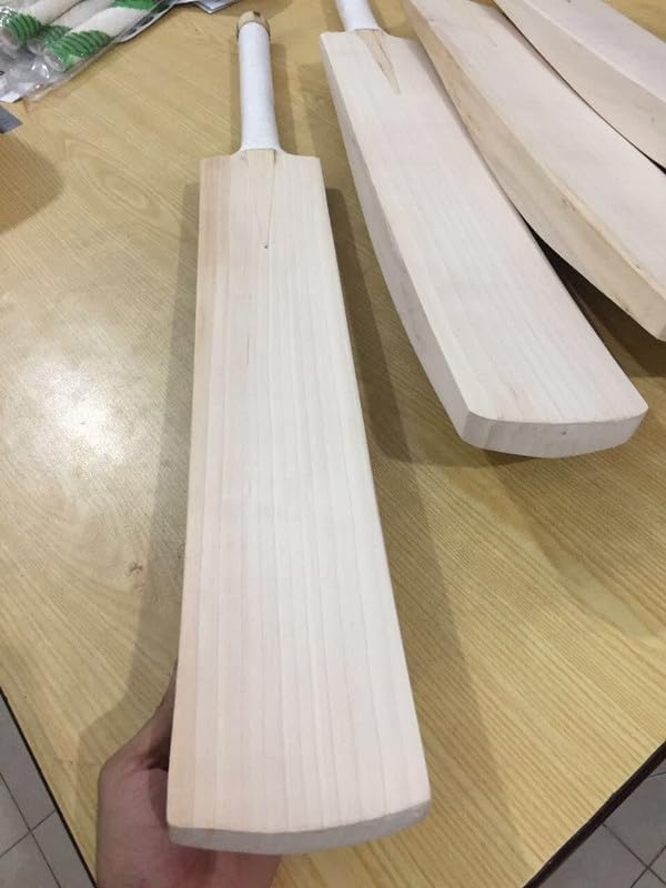 SBJ English Willow Plain Cricket Bat Full Size, (G_Pro_Level-3)-image-27