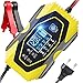 YDBAO Chargeur de Batterie 6A 12V/24V Chargeur Auto Moto avec Fonction Réparation Protection Multiple LCD Écran Tactile pour Lithium, Plomb-Acide, LiFePO4