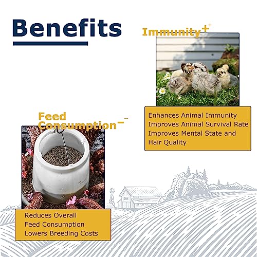 HARTOMPET Nutrient-Rich Chicken Feed - 5LB Dried Black Soldier Fly Larvae, 100% Natural, 85X More Calcium Than Mealworms, Ideal for Molting & Laying Hens, Ducks, and Wild Birds, Reptiles and Hedgehogs