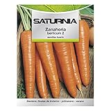 SATURNIA Semillas Huerto Zanahoria Berlicum, 8093650