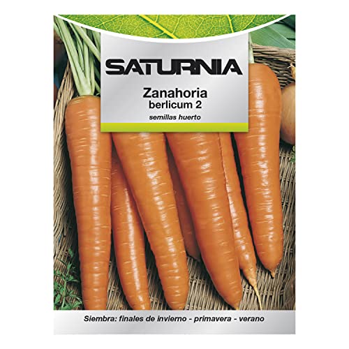 SATURNIA Semillas Huerto Zanahoria Berlicum, 8093650