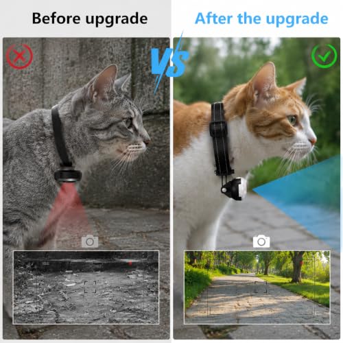 Image of HD 1080P Cat Camera Collar with Video Record Wireless Mini Sport cam,Small Action Cameras,Body Camera for Pet Supplies Stuff Outdoor /Inoor Birthday Gift No WiFi(Black)