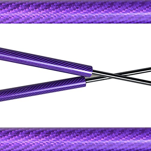 Vérins de hayon pour Chrysler Voyager 2001-2007 en carbone violet