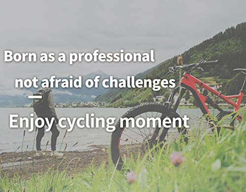 Mzp Bmx E-Bike Front Fork 20 Inch Mtb Bike Air Suspension 1-1/8" Steerer Ultra-Light Bicycle Fork Damping Adjustment Quick Release Disc Brake Travel 100Mm (Color : Black, Size : 20In) #TOP4