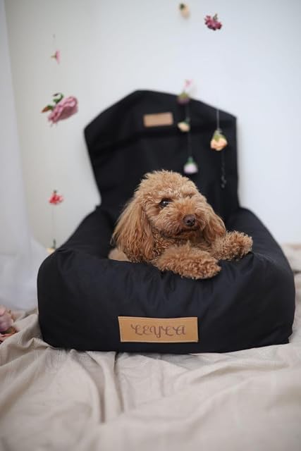 Foto 5 de 8 de Petsen Asiento de Coche Personalizado para Perro Asiento Trasero de Coche Asiento de Coche para Perro Caja…