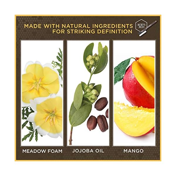 Burt's Bees Nourishing Eyeliner, Warm Brown - 0.04 Ounce