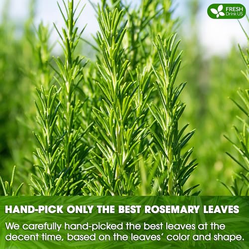 FreshDrinkUS, Premium 100 Rosemary Leaf Tea Bags, Made with 100% Natural Rosemary Dried Leaves, Pure Herbal Tea, No Additives, No Caffeine, No Gluten, Vegan.