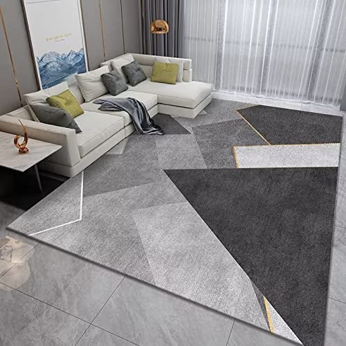 Tapis antidérapant sans perte de poils grand tapis lavable de salon