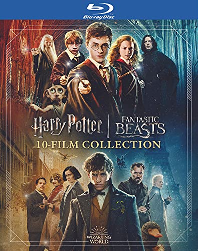 Wizarding World 10-Movie Assortment: twentieth Anniversary (Blu-ray)