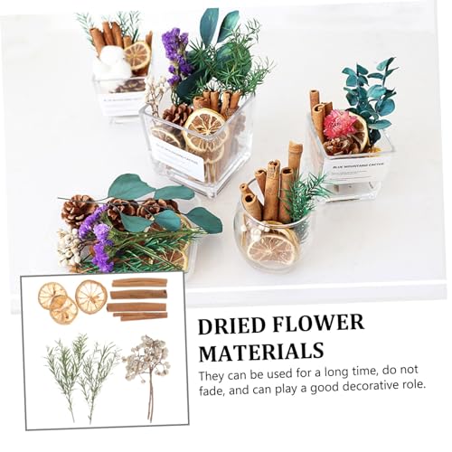 Flores secas para manualidades y decoraciones artesanales miniatura 5