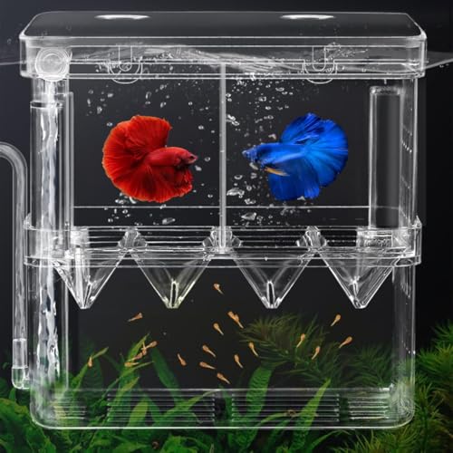 Image of Sansefero Double Deck Isolation Breeding Box for Aquarium Self Floating Multifunctional Isolation Acrylic Hatchery Incubator with Low Deck Seperating Small Fish (M)