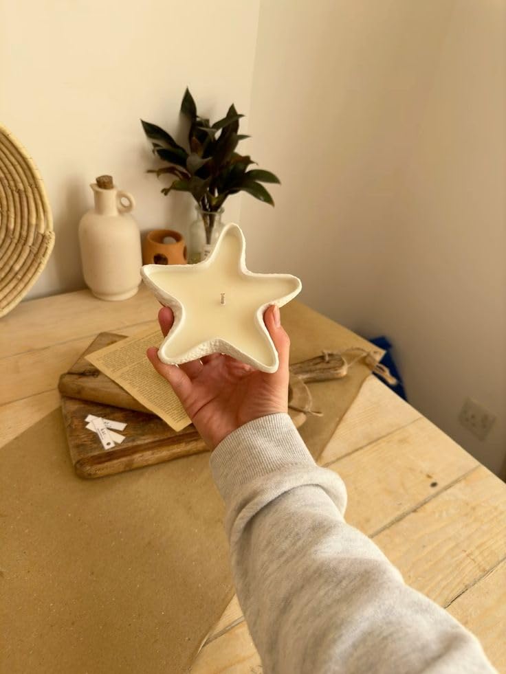 Image of Concrete Sea Shell Jar Candle | Velvet Rose Aroma | 12+Hours Burn Time | Perfect for Home Decor & Gifting (K)