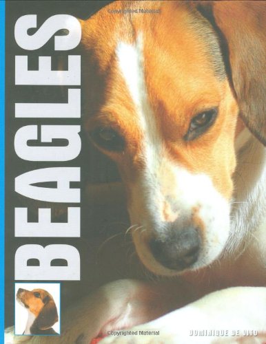 Beagles