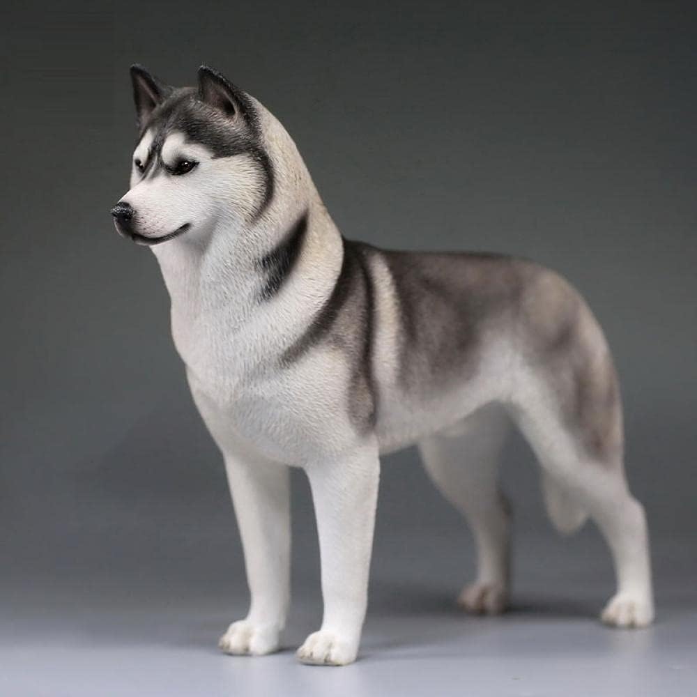 Amazon Co Jp シミュレーションレジンドッグハスキー シベリアンハスキーの家の装飾シミュレーション動物モデルかわいい癒しの犬のアクセサリー B おもちゃ Amazon Co Jp シミュレーションレジンドッグハスキー シベリアンハスキーの家の装飾シミュレーション動物モデルかわいい癒しの犬のアクセサリー B おもちゃ