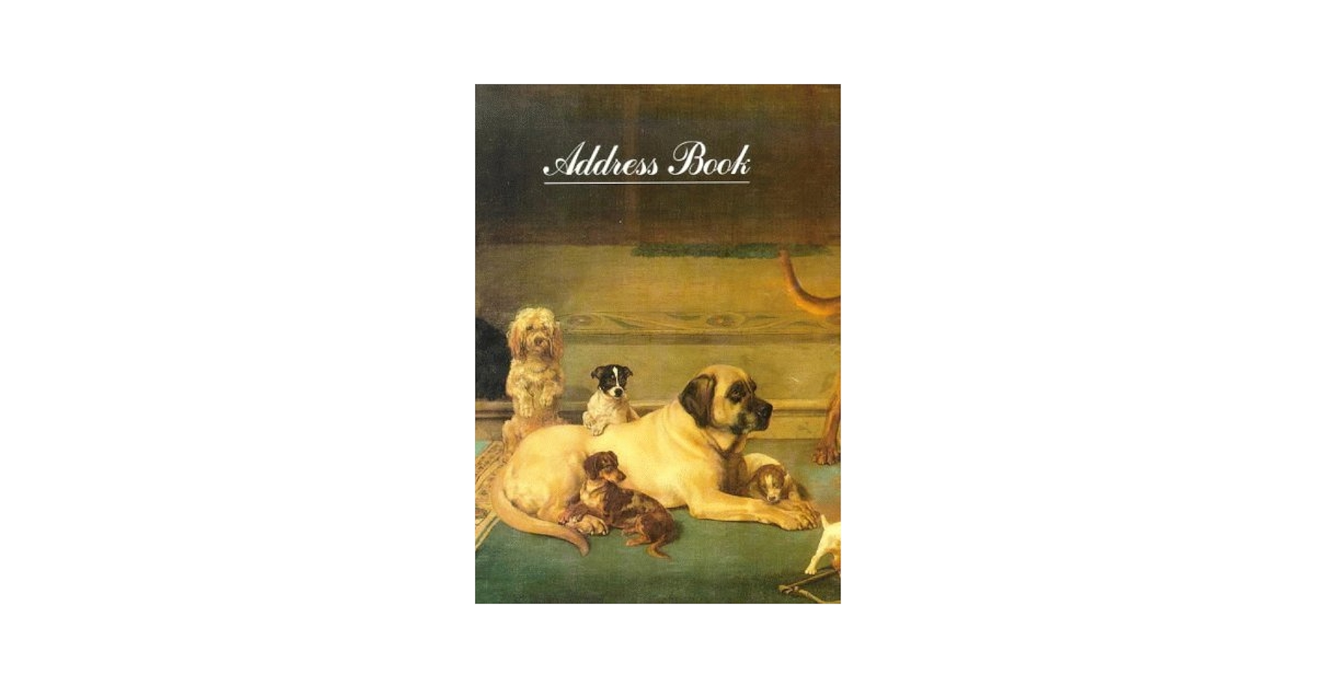 洋書 Hunde: Romantische Orte Frankreichs und 洋書 Hunde