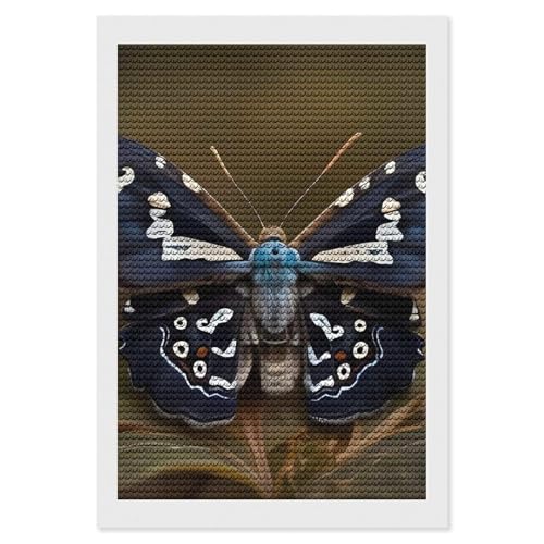 Peinture diamant belles ailes de mites art mural DIY pour salon et décoration de la maison