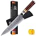 [8 Inch]Chef Knife,FANTECK Kitchen Knife VG10 Damascus Professional Sharp High Carbon Stainless Steel 67-Layer Meat Sushi Fruit Cutting Gyuto Chef Knife[Gift Box]Ergonomic Pakkawood Handle-Acrylic Rim