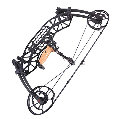 ZSHJGJR Archery Compound Bow Adjustable 35-65LBS Hunting Bow 320fps for Outdoor Shooting Archery Bow