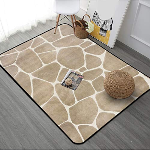 Tapis de salon moderne et grand format lavable pour table basse
