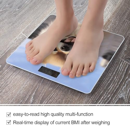 Báscula Digital de Baño con Plataforma de Vidrio Templado miniatura 5