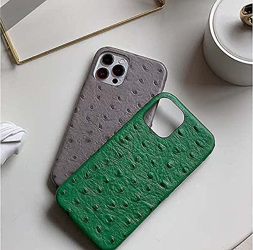 Coque iPhone 12 antichoc résout les rayures avec sa doublure en flocage