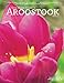 Produktbild Our Maine Street's Aroostook Issue 32