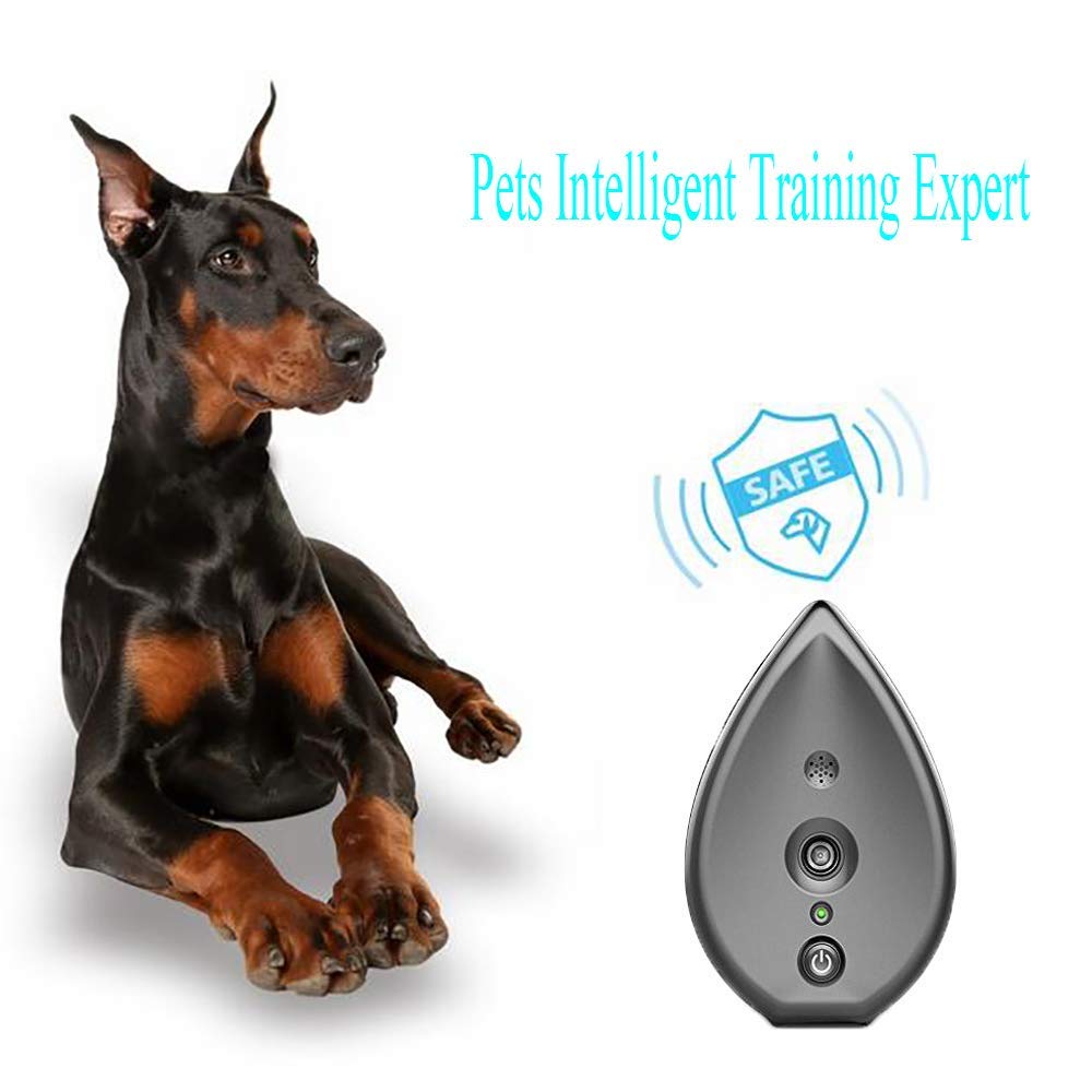 Dispositif de contrôle des aboiements de Chien dissuasif par ultrasons Contre Les aboiements de Chiens Formateur Portable et intérieur et Forme de Goutte d'eau et Gris