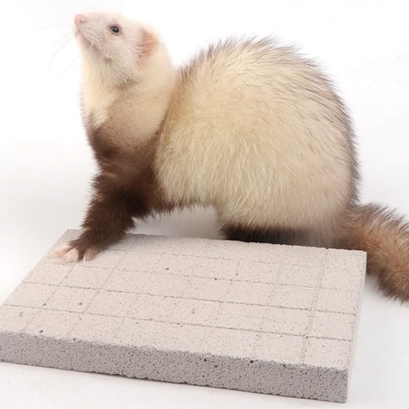 YARNOW Scratching Stone for Cats Rabbits, Chinchillas, Squirrels and Guinea Pigs, 24 x 15 x 2.5 cm, Light Grey, 24X15X2.5CM - Image 4