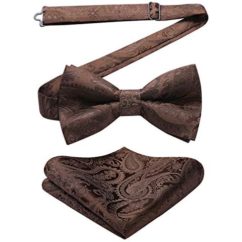 HISDERN Fliege Herren Paisley Floral Jacquard Braun Fliege mit Einstecktuch Set für Hochzeit Party Steampunk Cover
