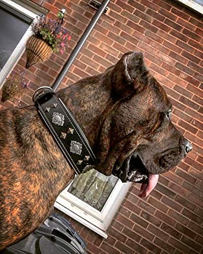 Bestia "Aztec Black Genuine Leather Big Dog Collar. Unique Rivet Design. Soft Padded