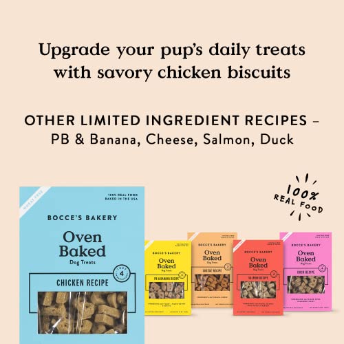 Bocce's Bakery Oven Baked Chicken Recipe Treats For Dogs, Wheat-Free Dog Treats, Made With Real Ingredients, Baked In The Usa, All-Natural Chicken, Pumpkin & Rosemary Biscuits, 14 Oz #TOP3