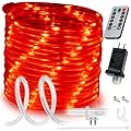 WYZworks 150ft Red LED Outside Rope Light - 8 Modes, Waterproof Permanent Outdoor Accent Lighting w/Remote, Flexible Clear Tube, ETL Certified, Garden, Patio, Holiday Christmas, Palm Tree, Ambient