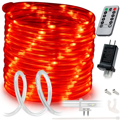 WYZworks 10ft Red LED Outside Rope Light - 8 Modes, Waterproof Permanent Outdoor Accent Lighting w/Remote, Flexible Clear Tube, ETL Certified, Garden, Patio, Holiday Christmas, Palm Tree, Ambient