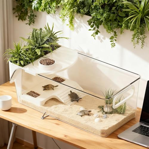 Terrarium pour tortues et petits animaux : sublimez votre salon