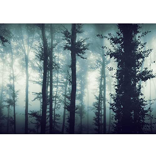 Runa Art Papel tapiz fotográfico 396 x 280 cm bosque de niebla | Lana Decoración De Pared Sala Cuarto | Fabricación alemana | azul 9291012c