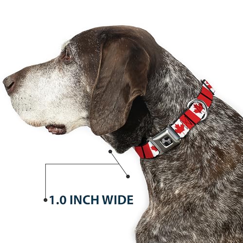 Collier de chien drapeaux Canada ajustement parfait grand cou os réglable - 7