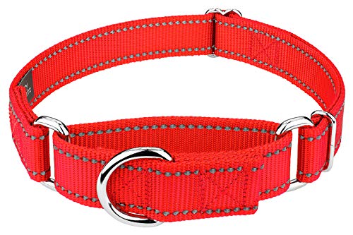 Country Brook Petz - 1 Inch Blaze Orange Reflective Nylon Martingale Dog Collar - Medium