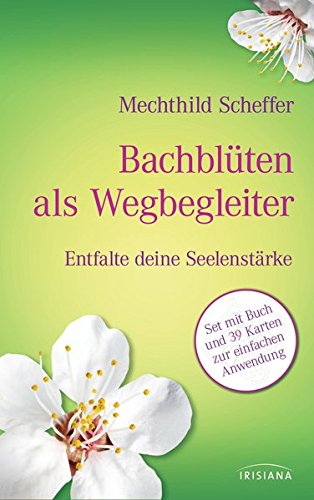 Preisvergleich Produktbild Bachblüten als Wegbegleiter-Set: Entfalte deine Seelenstärke. Buch mit 39 Karten