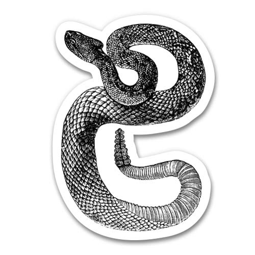 Rattlesnake Vintage Illustration - 5