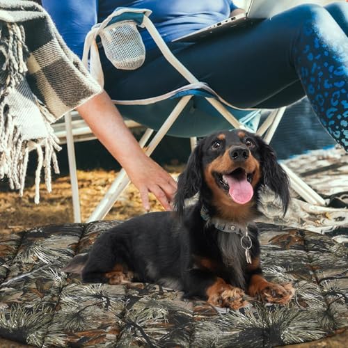 Lit de voyage pour chien confortable avec structure de soutien