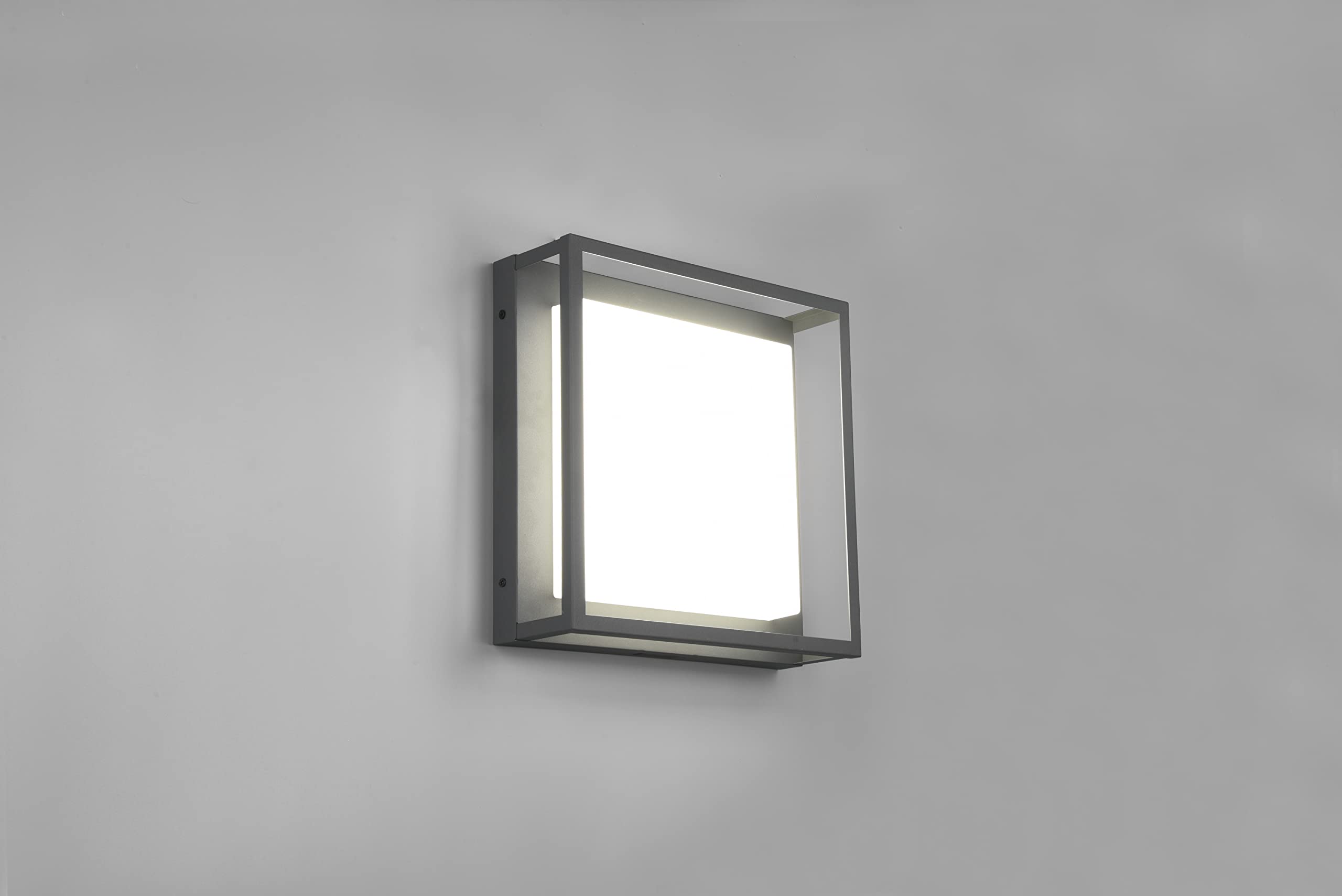 Trio Leuchten LED Außen Deckenleuchte Witham 677860142, Metall Anthrazit, Kunststoff weiß, inkl. 10.5 Watt LED, Lichtfarbe einstellbar |