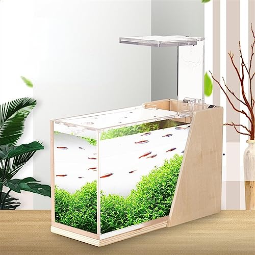 Miniatura 3 de Xumh2024-3 Pecera Tanque De Peces De Mesa, Tanque Cuadrado Transparente Acrílico For Acuarios, Ecológico, Pequeño, For Oficina, Hogar, Acuario Con Bomba Para Exhibición En El Escritorio 4
