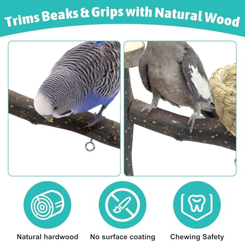 Apatal Bird Playground for Training & Playing Natural Wood Parrot Perch Stand Jungle Gym with Bird nest & Stainless Feeder Cups Parakeet Cage Playstand for Budgie Cockatiel Conure - Thumbnail 4