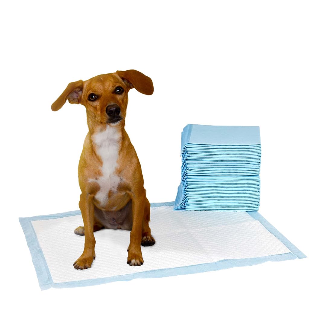 BUYBUY 500 Traverse Assorbenti Per Cani 60x60 CM Tappetini Igienici Con Polimeri Attivi TI5060