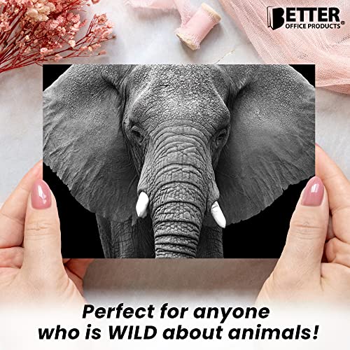 Better Office Products 50 Pack All Occasion Greeting Cards, Assorted Black & White Wild Animal Portraits, Elegant Note Cards With Envelopes, 4 X 6 Inch, 7 Cover Designs, Blank Inside #TOP4